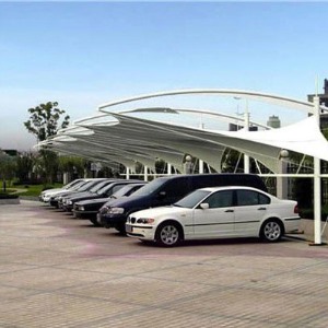 茄子视频在线免费观看汽車棚